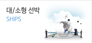 대소형선박