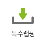 특수랩핑